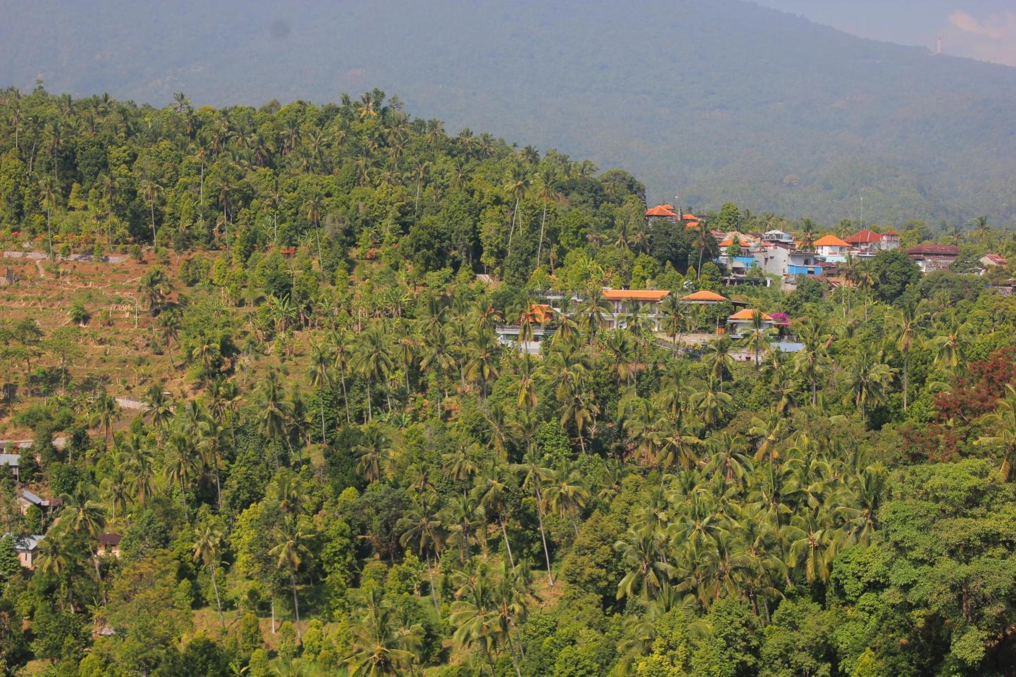 Rostika Villa&Camping Sekumpul Buleleng  Bagian luar foto
