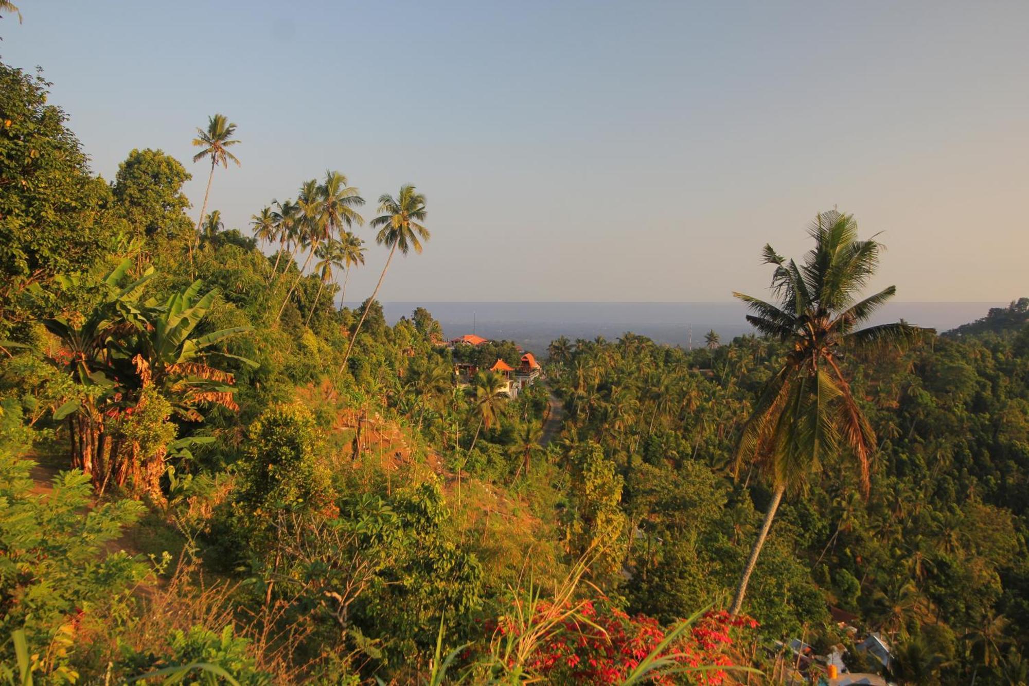 Rostika Villa&Camping Sekumpul Buleleng  Bagian luar foto